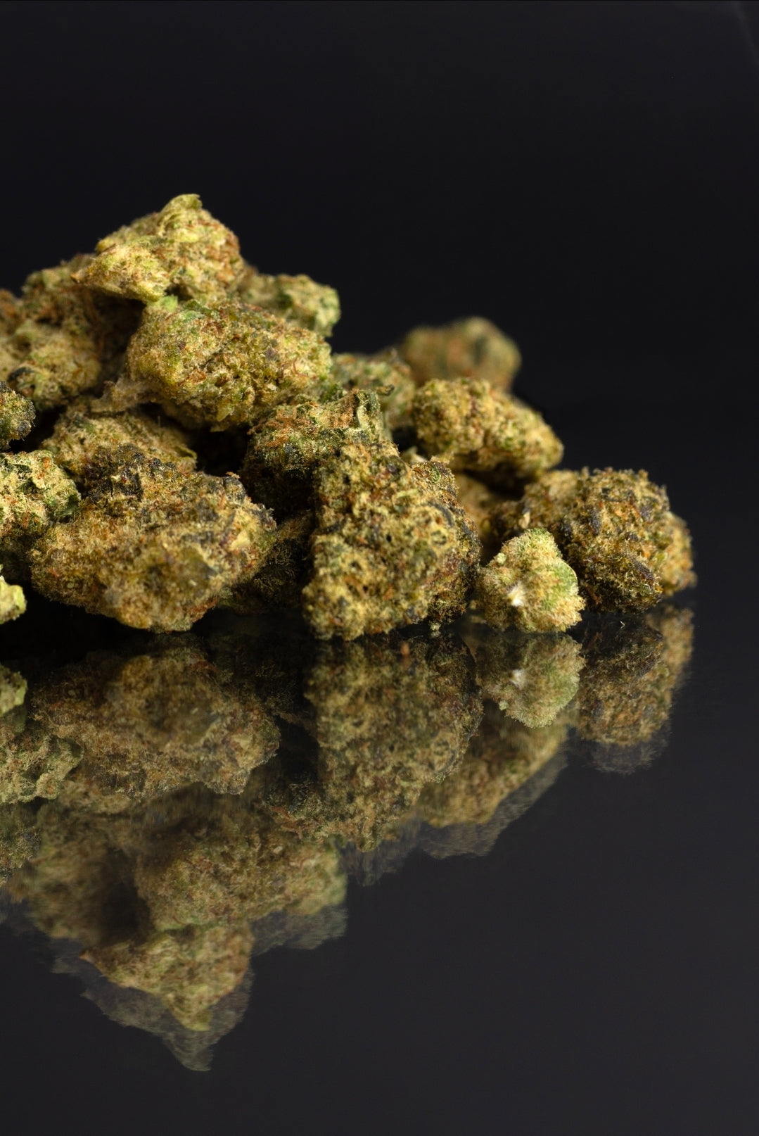 Baby Buds de thcp