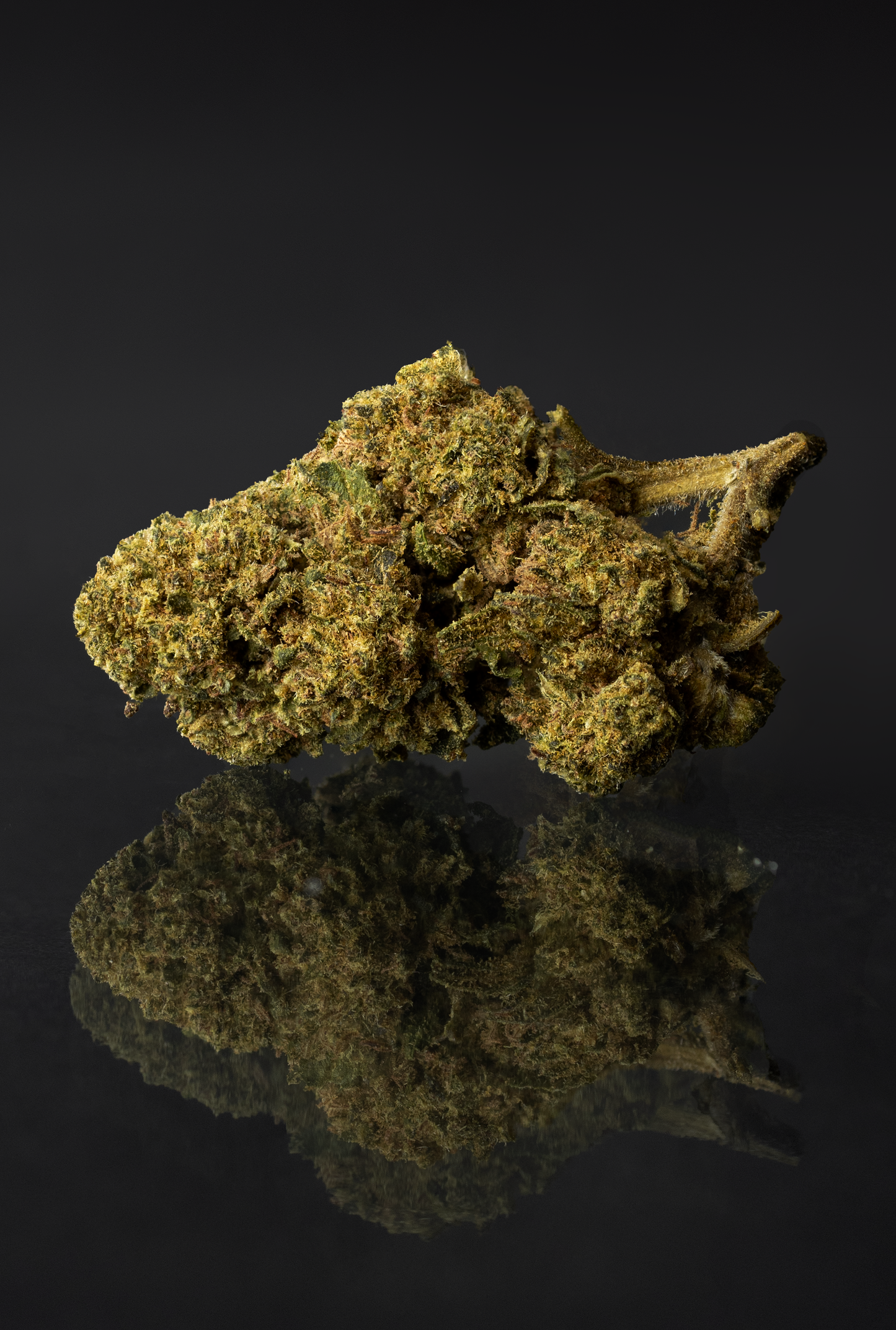 Cannatonic HCP